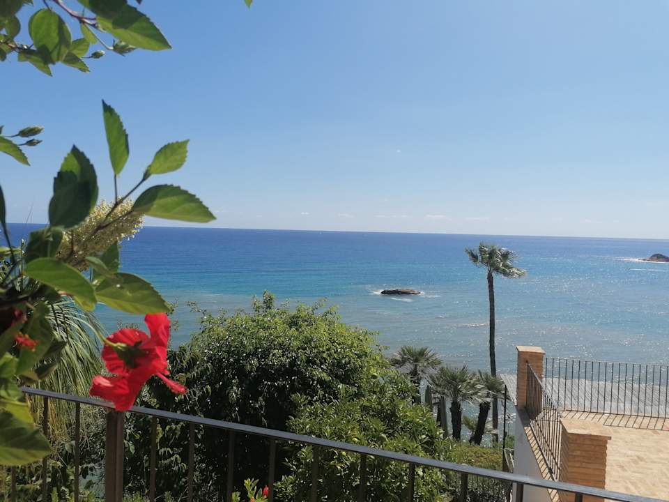 Ausblick El jardin Botánico Villa LUZ