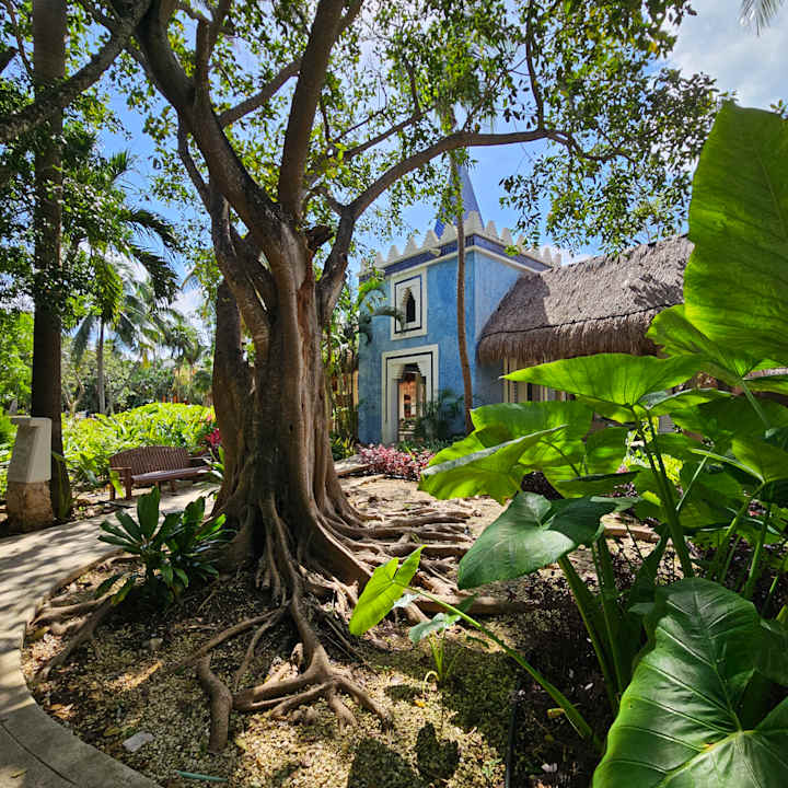 Außenansicht Iberostar Selection Paraiso Maya Suites