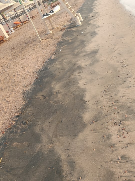 Strand The Grand Palace - Adults only