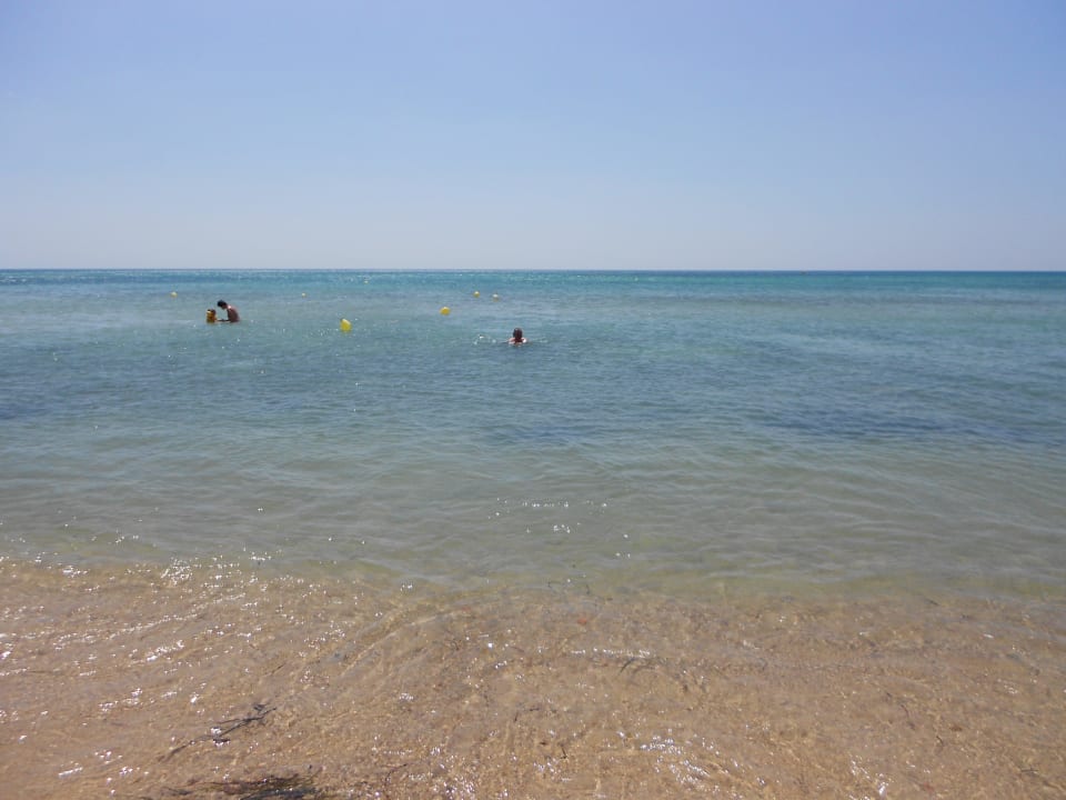 Mehr geht nicht Hotel Royal Nozha