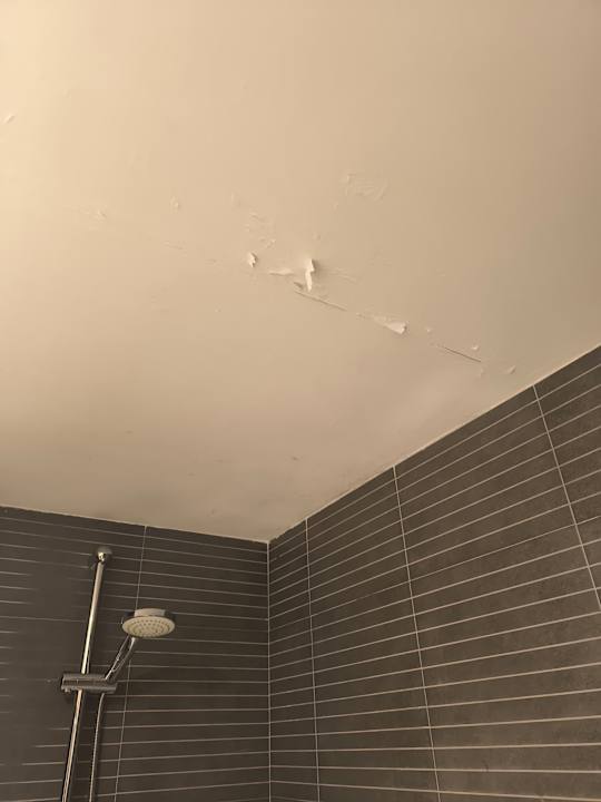 Zimmer Don Quijote Apartment