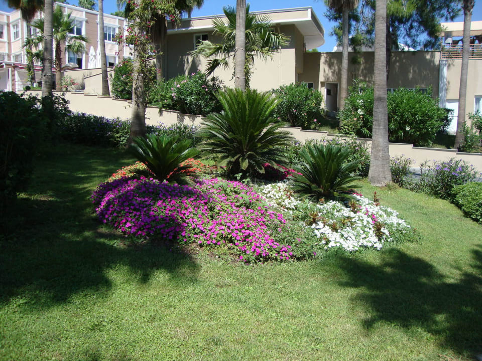 Hotel Anlage Club Sidelya Hotel