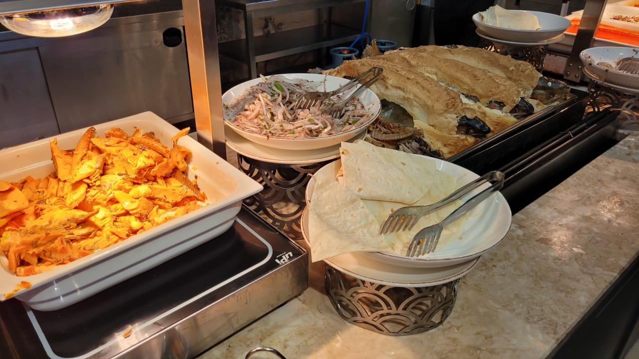 Gastro Papillon Ayscha