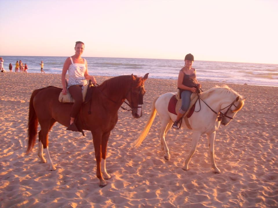 Reiten Hipotels Barrosa Park
