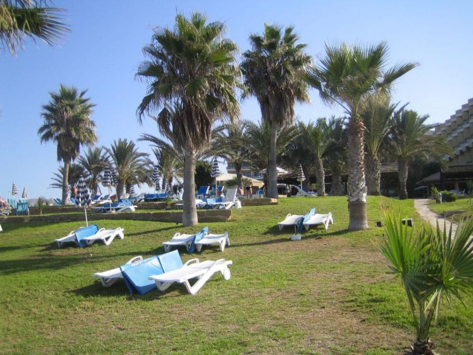 Liegewiese Venus Beach