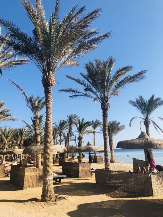 Strand Palm Royale Resort - Soma Bay