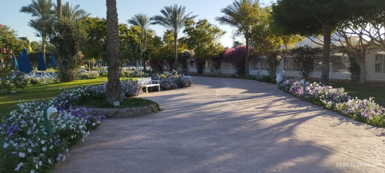 Gartenanlage Desert Rose