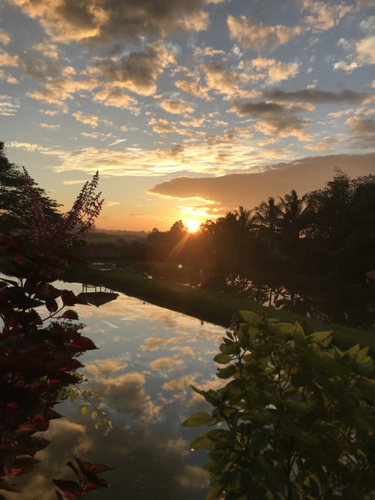 Ausblick Ayubowan Swiss Lanka Bungalow Resort