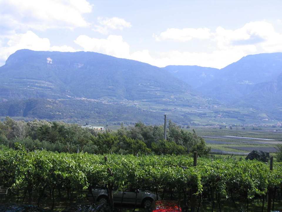 Ausblick aus dem Zimmer Garni Sandhof