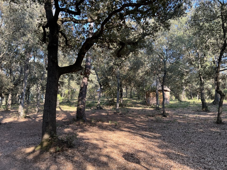 Gartenanlage Paradù Tuscany EcoResort