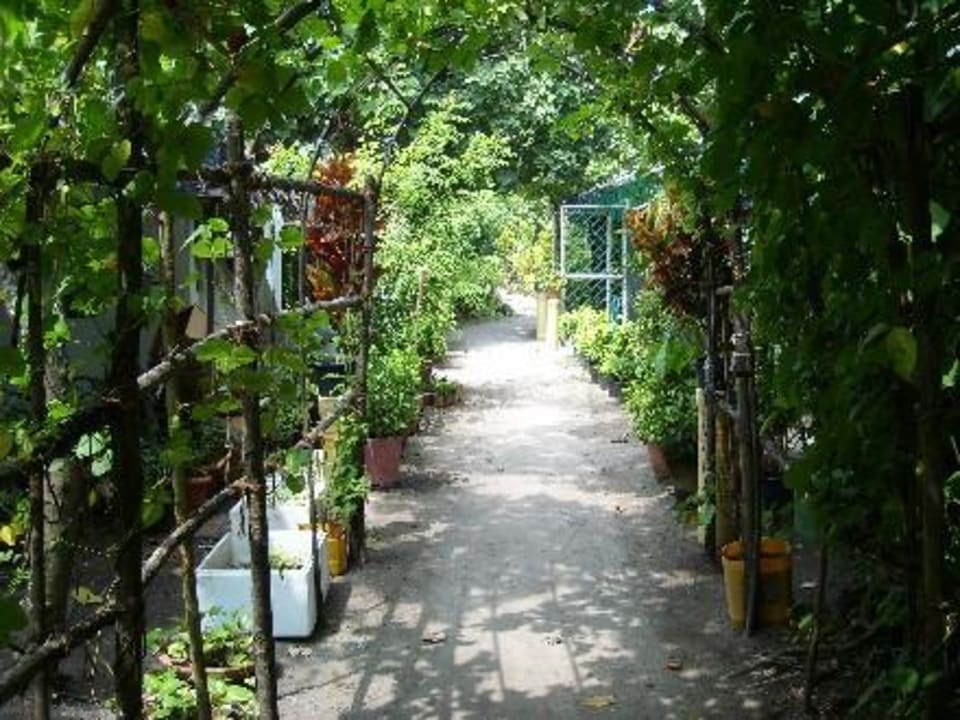 Reethi Garden Reethi Beach Resort