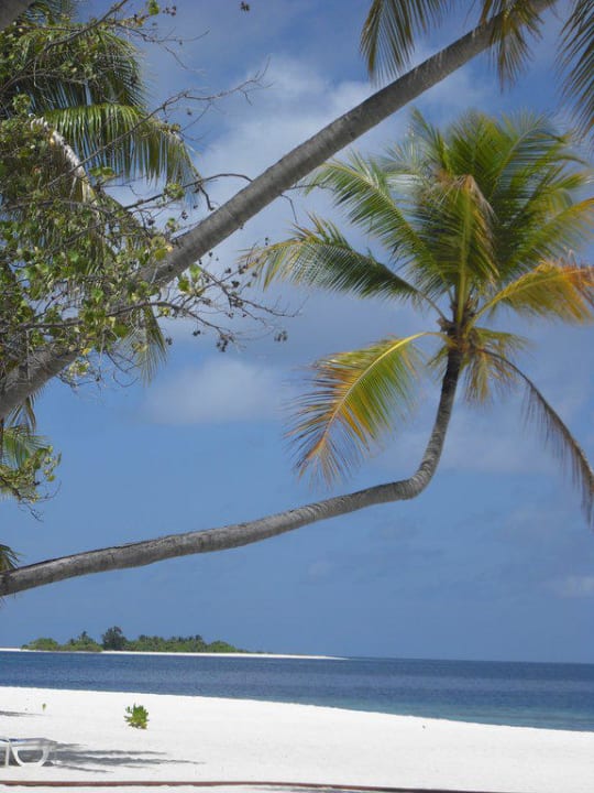 Und wieder Strand Diamonds Thudufushi