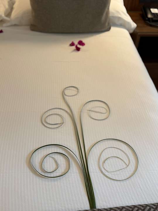 Zimmer Hotel Riu Jambo