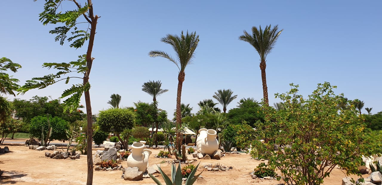 Gartenanlage Steigenberger Aqua Magic