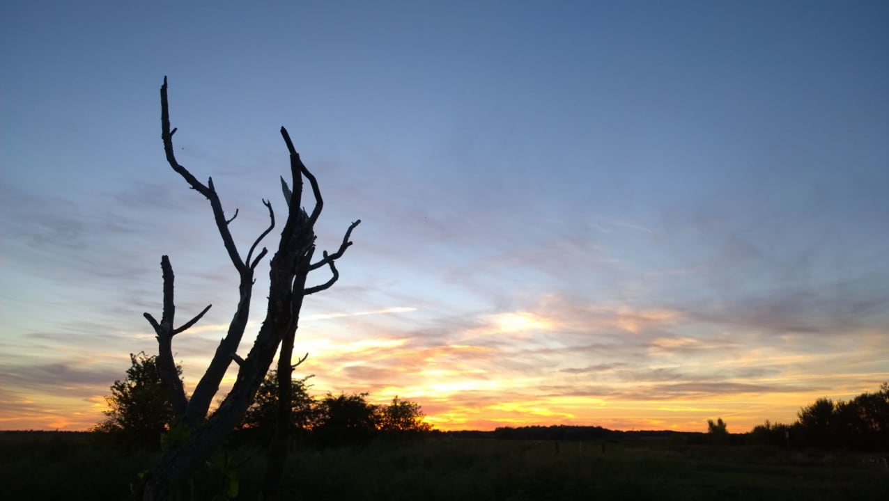 Ausblick Ferienresort Möwenort