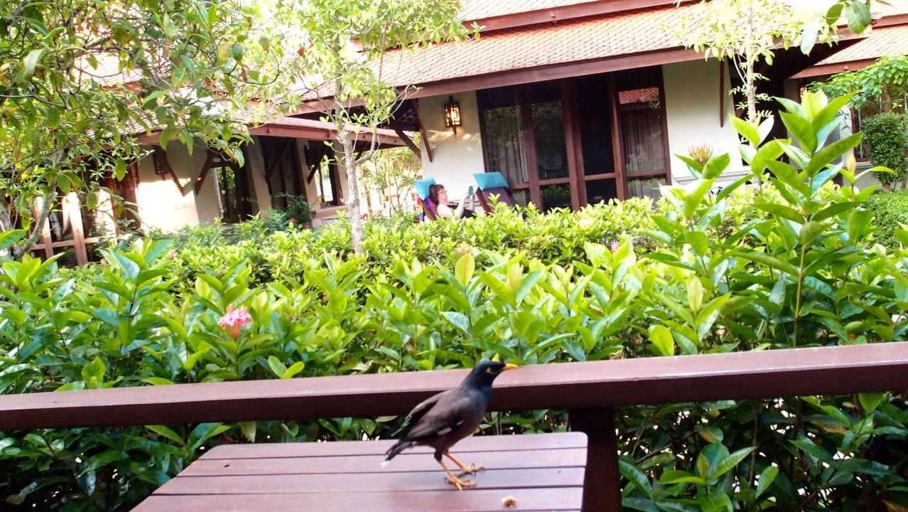 Von der Terrasse Khaolak Laguna Resort