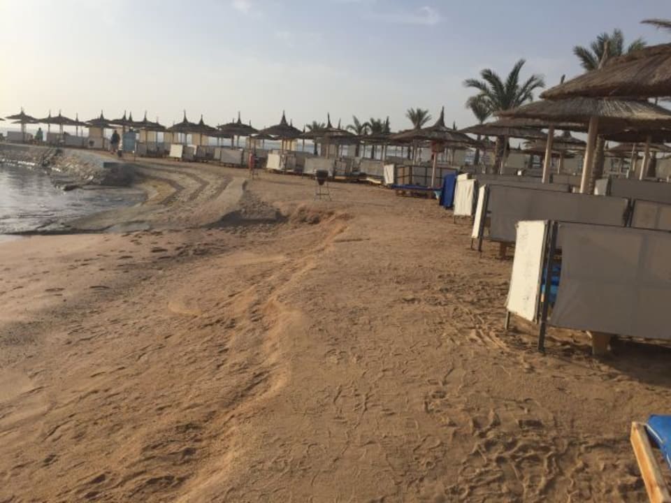 Strand Beach Beach Albatros Resort