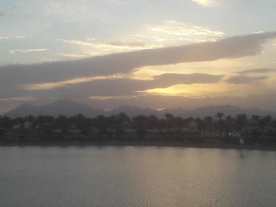 Ausblick Desert Rose