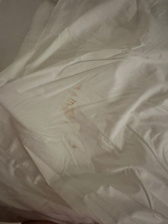 Zimmer Royalton CHIC Punta Cana