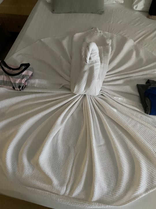 Zimmer Dream World Aqua Hotel