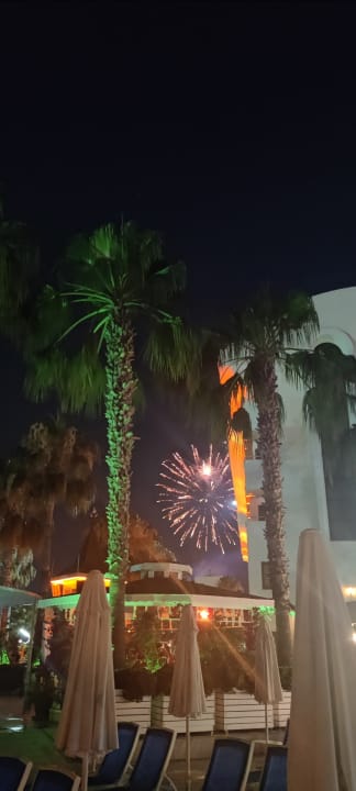 Gartenanlage Hane Family Resort