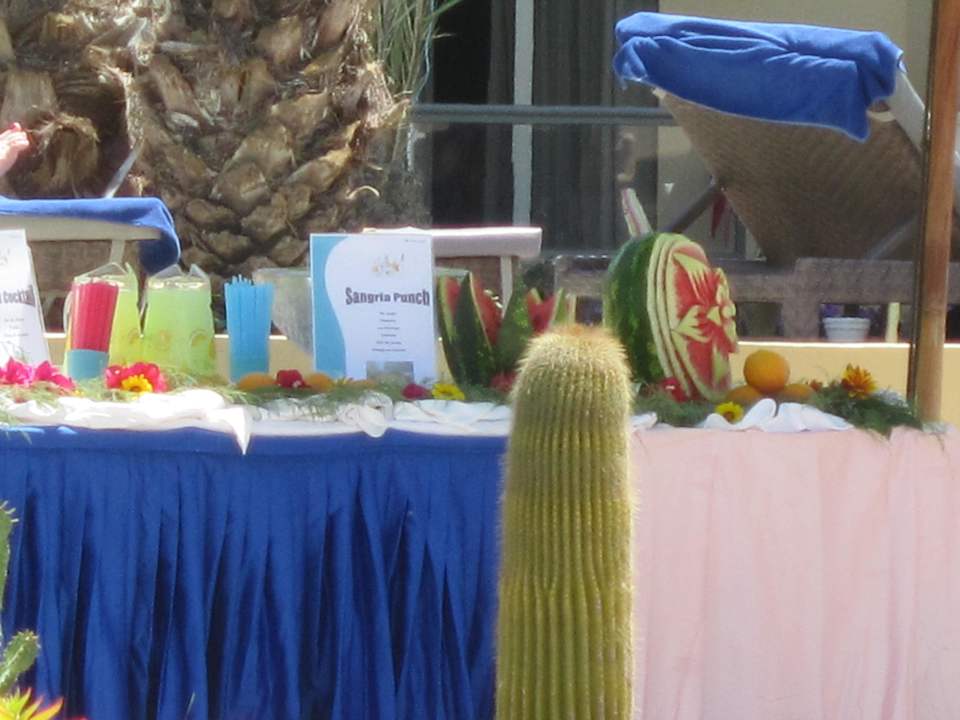 Leckere Getränke Hotel Rosa Beach