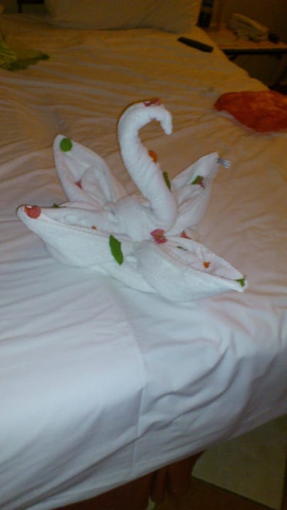 Schwan JAZ Fanara Resort
