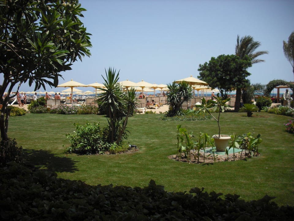 Room view SUNRISE Holidays Resort (Adults Only)
