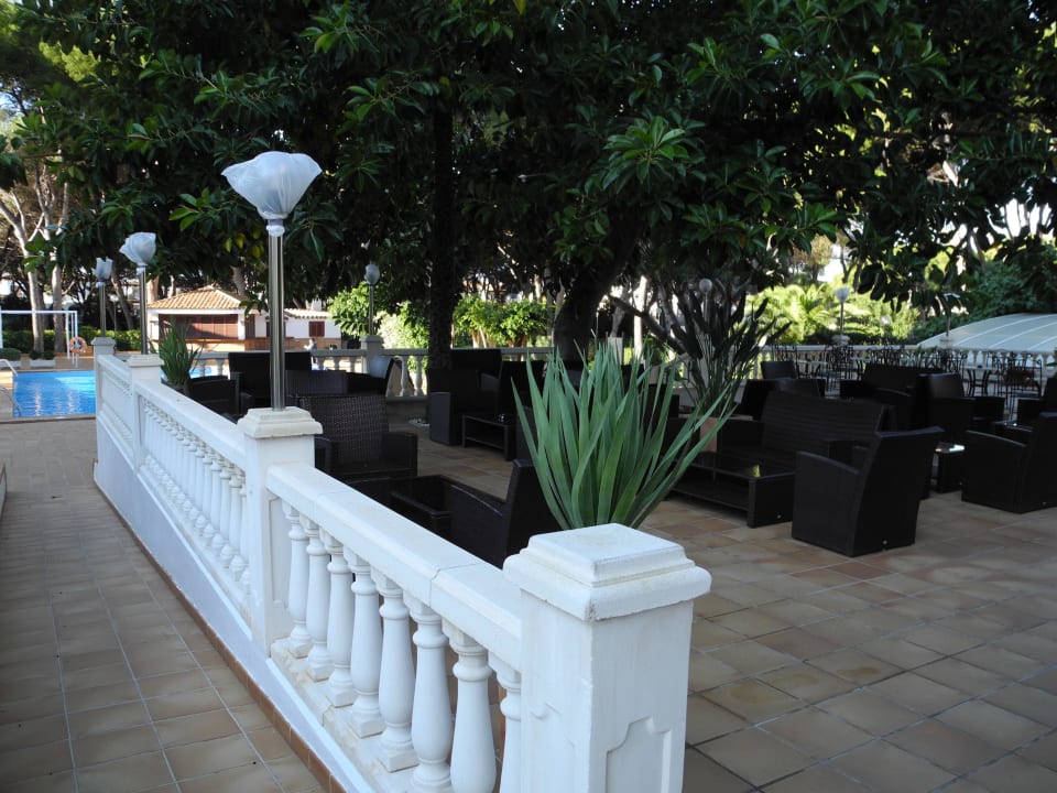 Pool und Gartenanlage Hotel Riu Festival