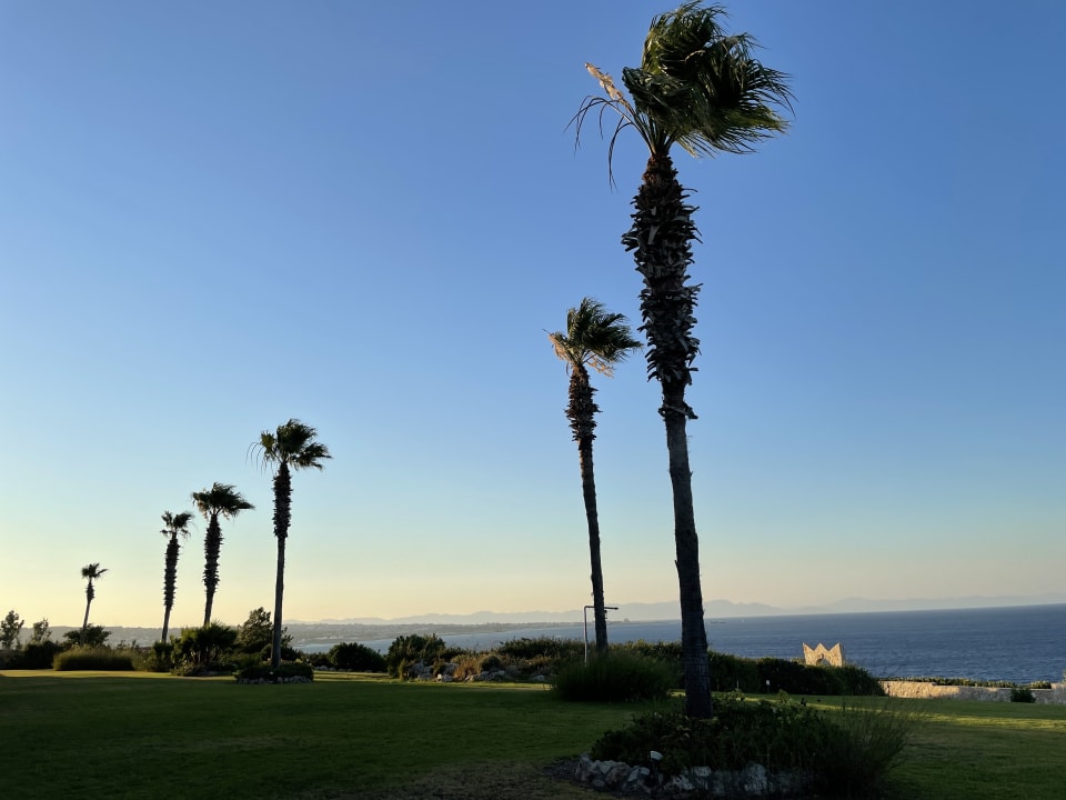 Gartenanlage Hotel Kalithea Horizon Royal