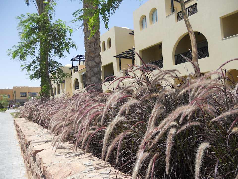 Spacer Stella Garden Resort & Spa, Makadi Bay