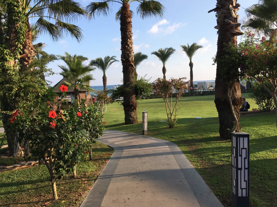 Weg zum Strand Papillon Ayscha