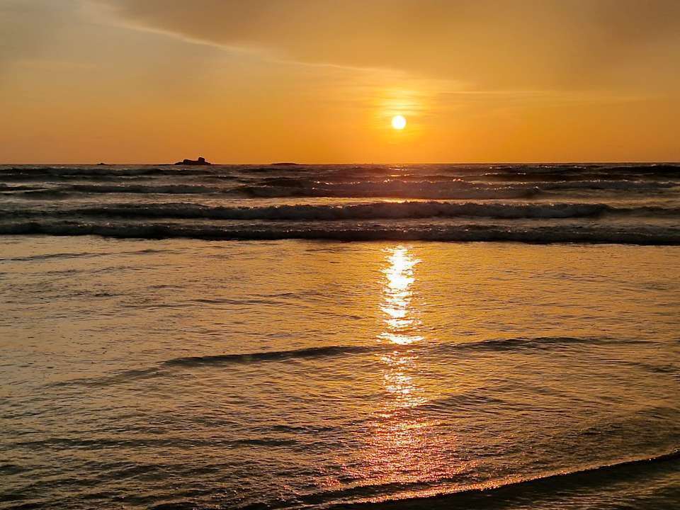 Strand Thaala Bentota