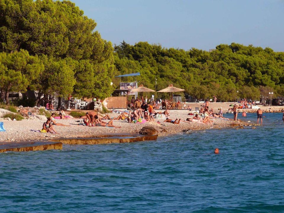 Der herrliche Strand der Primasol-Anlage Amadria Park Kids Hotel Andrija