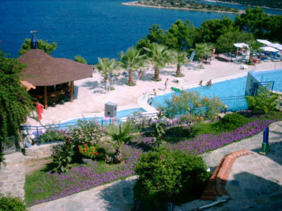 Club Blue Dreams 2002 Blue Dreams Resort & Spa