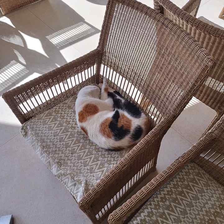 Sonstiges TUI BLUE Oceanis Beach and Spa Resort