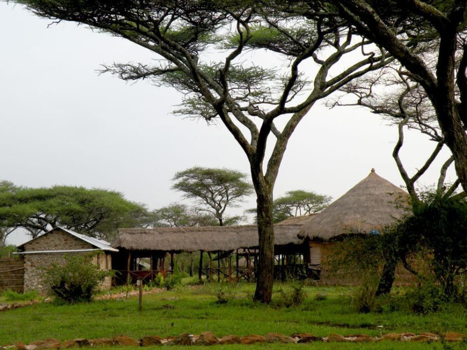 Vista del hotel Hotel Ikoma Tented Safari Camp