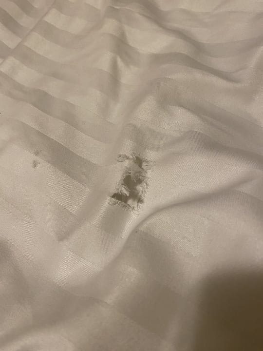 Zimmer Hotel Elbinsel