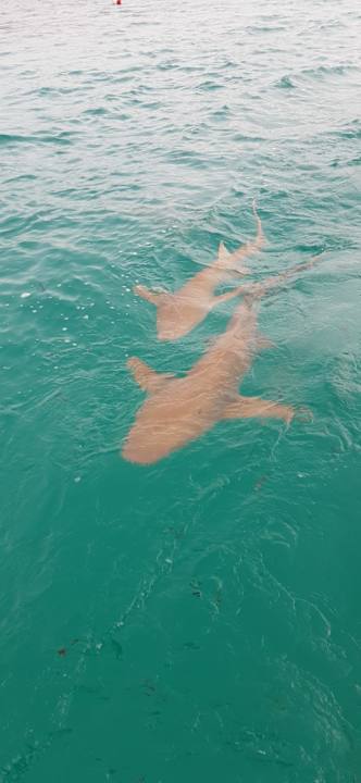 Sonstiges Cinnamon Hakuraa Huraa Maldives