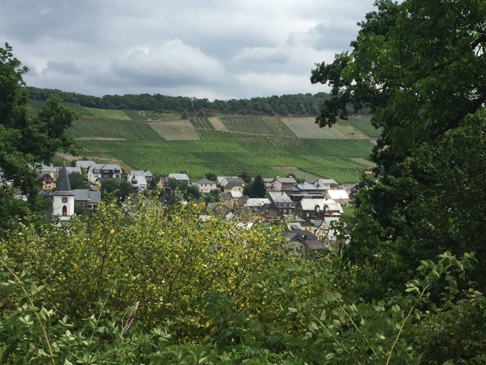 Blick aufs Gasthaus Gästehaus Bölinger