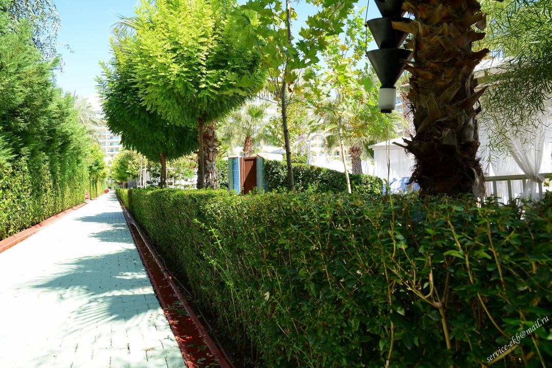 Delphin Imperial Hotel Delphin Imperial