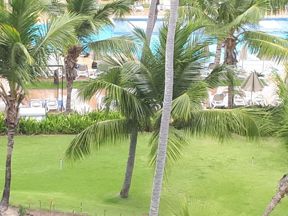 Widok z pokoju Hotel Riu Palace Macao - Adults only