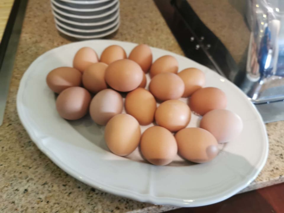 Gastro Hotel Komorni Hurka