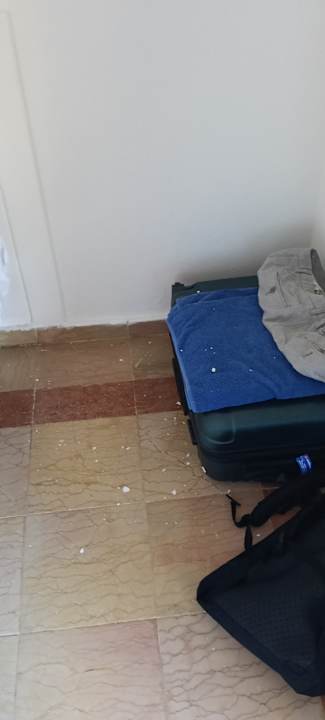 Zimmer Hotel Viva Dominicus Palace by Wyndham-All Inclusive Resort