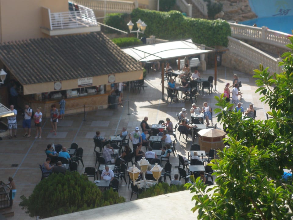 Nochmal die Poolbar MLL Palma Bay Club Resort