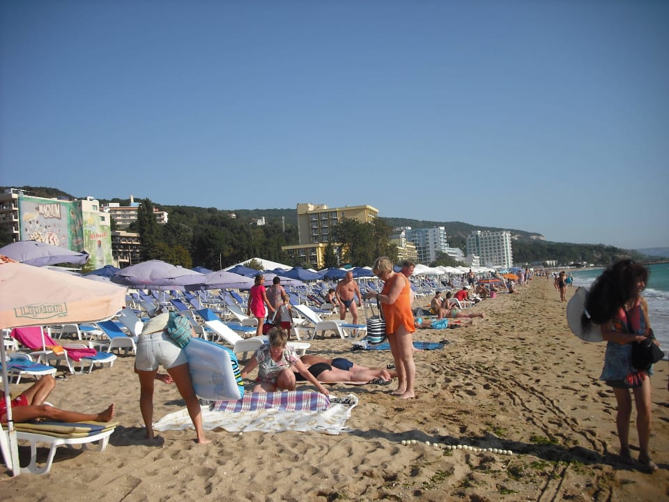 STRAND u, Liegen HVD Viva Club Hotel