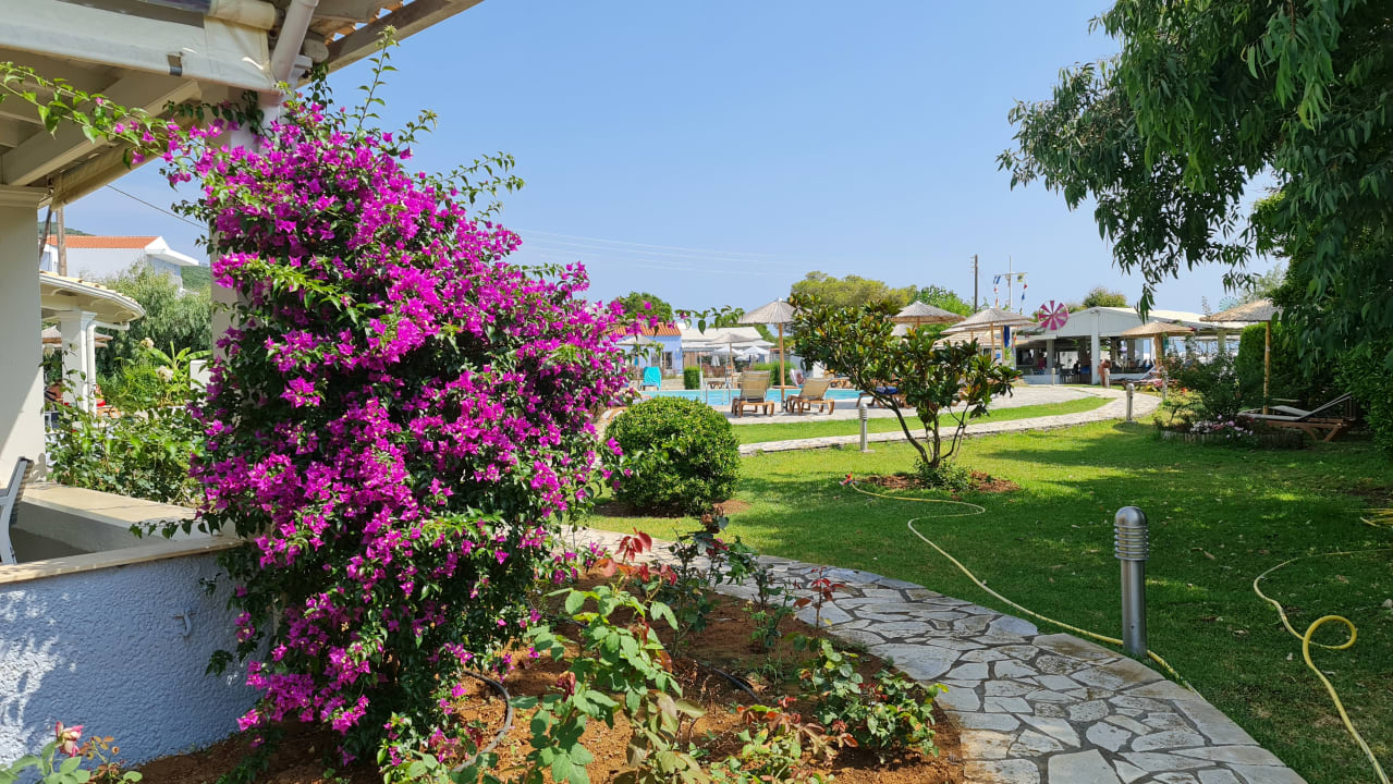 Gartenanlage Hotel Albatros