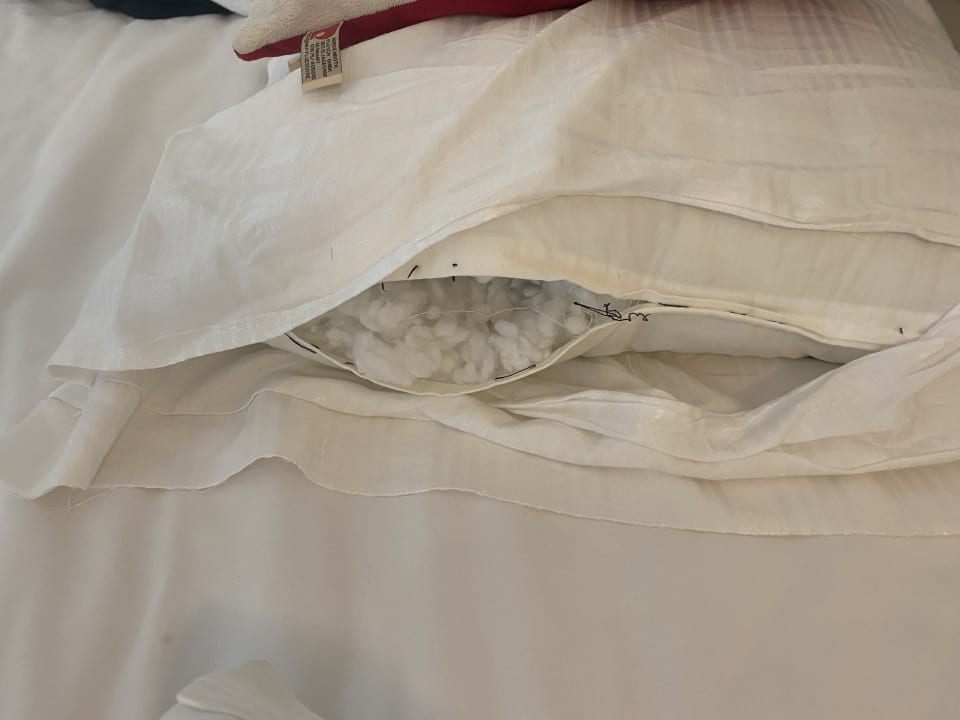 Zimmer Well Palace Side