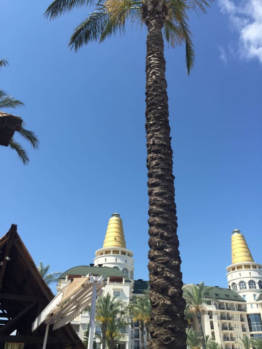 Diva Hotel Delphin Diva
