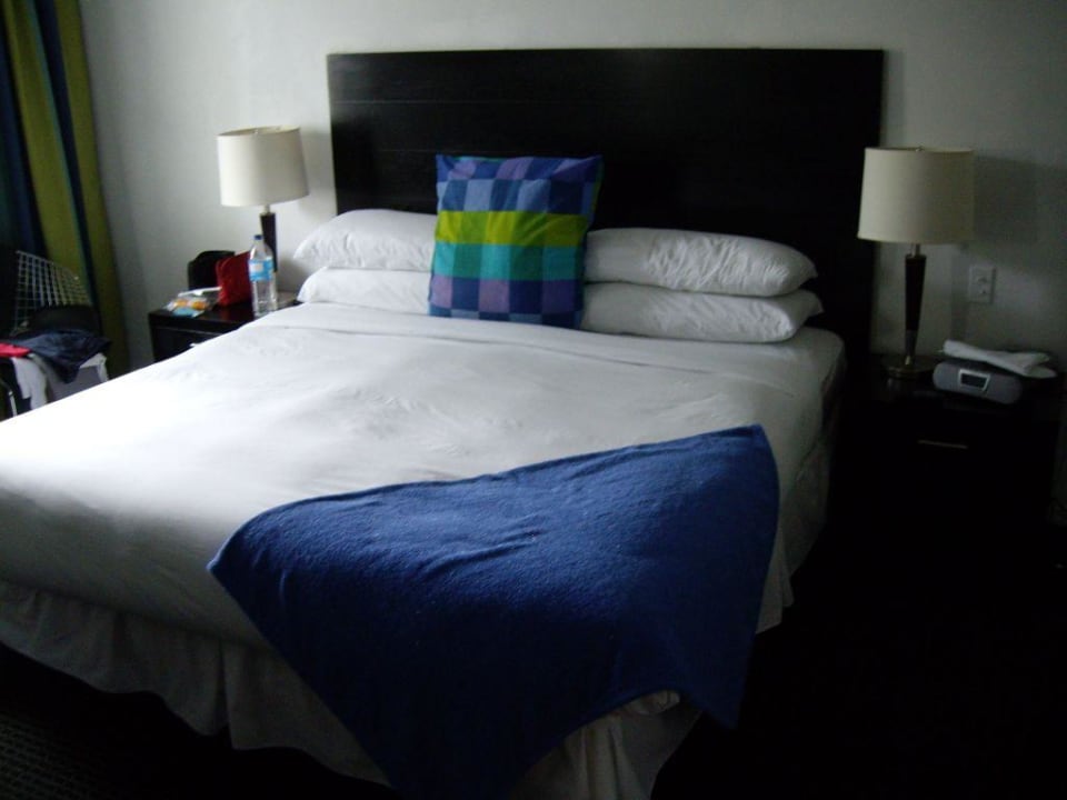 Zimmer mit schräger Tagesdecke Hotel The Albion South Beach